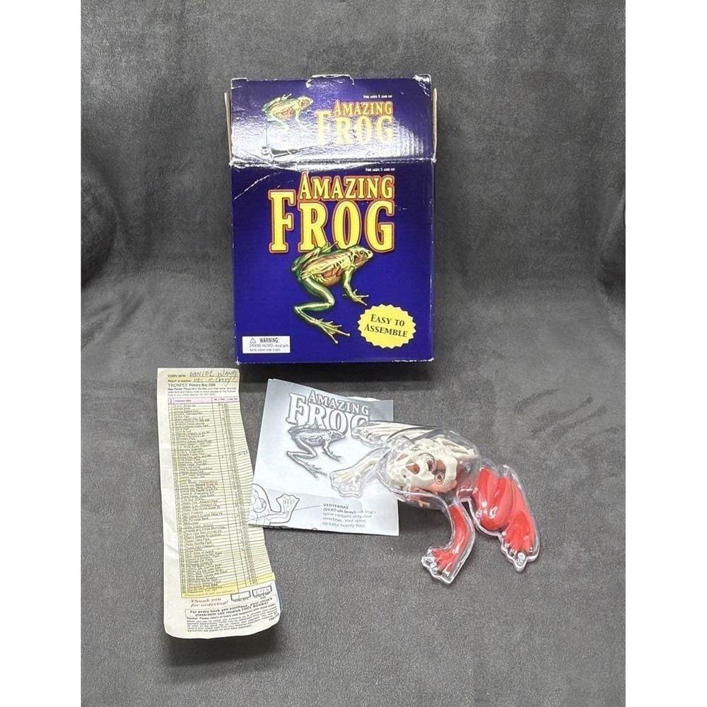 Vintage Becker & Mayer Frog Anatomy Toy Anatomical Model 3D Amazing Frog